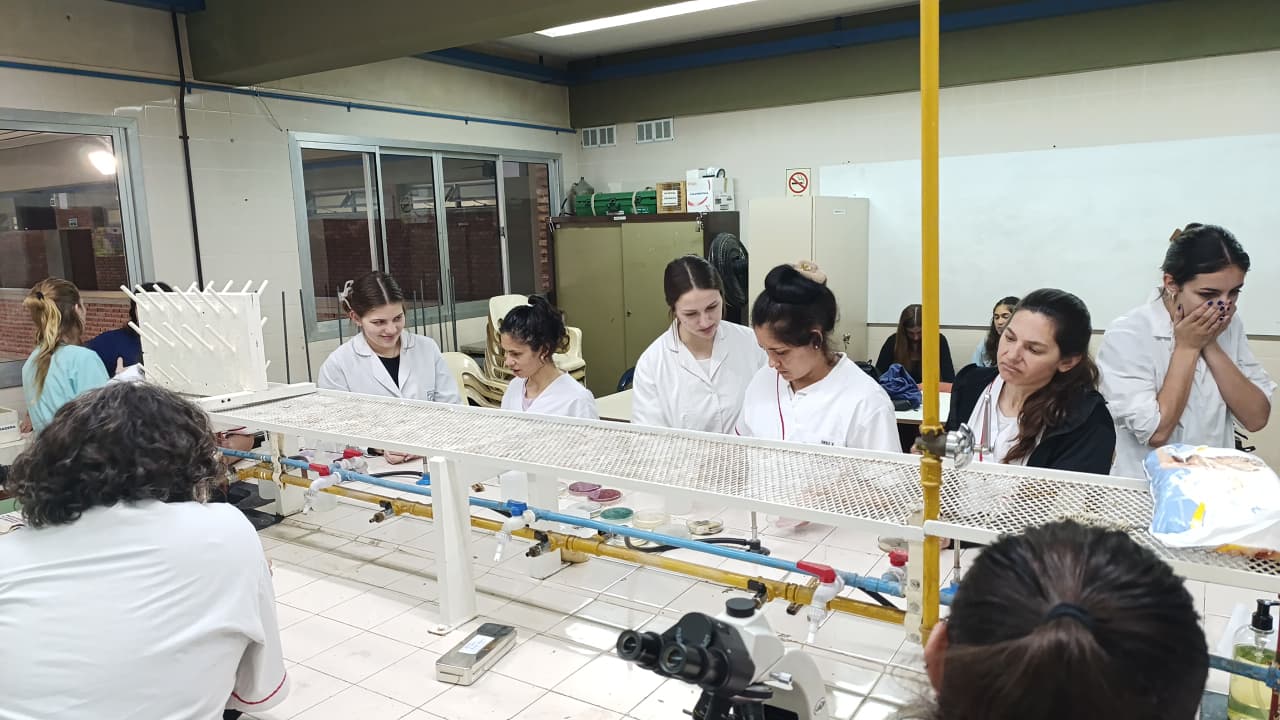 Práctica de laboratorio - Imagen 3